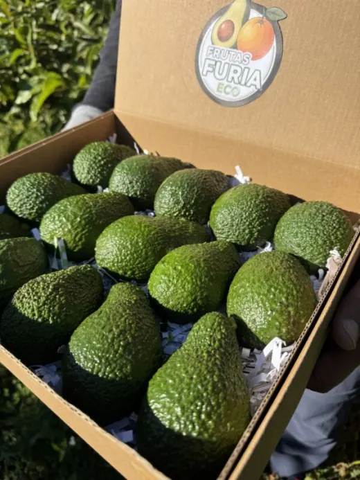 Aguacates x4